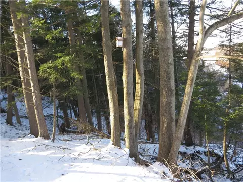 383 Pine Bush Rd, German Flatts, NY 13407 photo 5