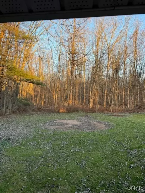 8834 Mud Lake Rd, Lysander, NY 13027 photo 4