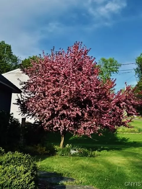 5965 Sewickley Dr, Jamesville, NY 13078 photo 46