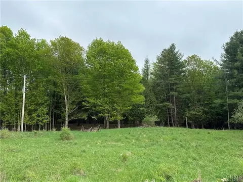 lot2 C Nys Route 126, Champion, NY 13619