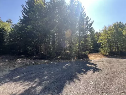 1105 Pardeeville Rd, Russia, NY 13324