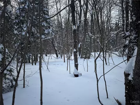 00 Kotary Rd, Lewis, NY 13325