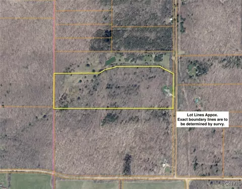 3327 Hazzard Rd, Scio, NY 14880 photo 28