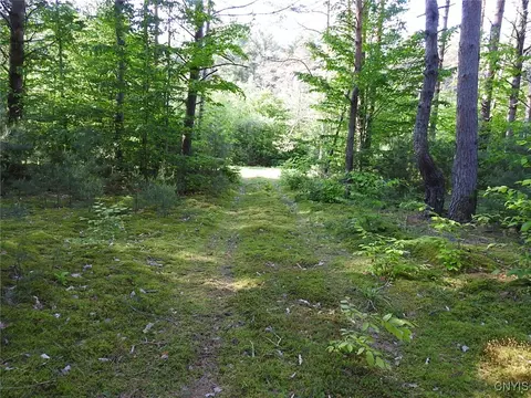 5206 Rugby Rd, Greig, NY 13345