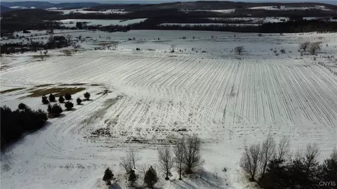 S Cortland Virgil Road, Virgil, NY 13045