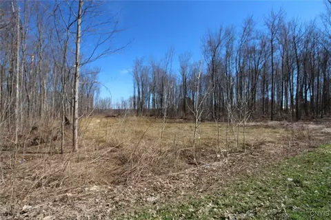 County Route 45, Palermo, NY 13036