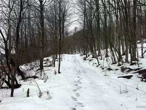 Cr-34, Wirt, NY 14739