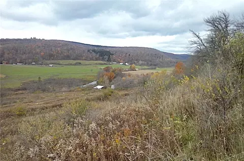 0 Oak Hill Rd, Pitcher, NY 13136 photo 11