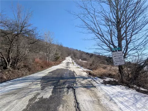 0 Oak Hill Rd, Pitcher, NY 13136 photo 9