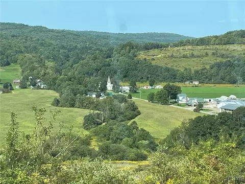 0 Oak Hill Rd, Pitcher, NY 13136 photo 16