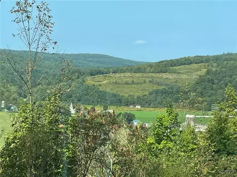 0 Oak Hill Rd, Pitcher, NY 13136 photo 15
