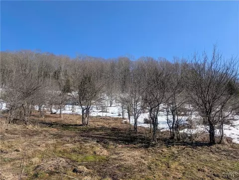 0 Oak Hill Rd, Pitcher, NY 13136 photo 7