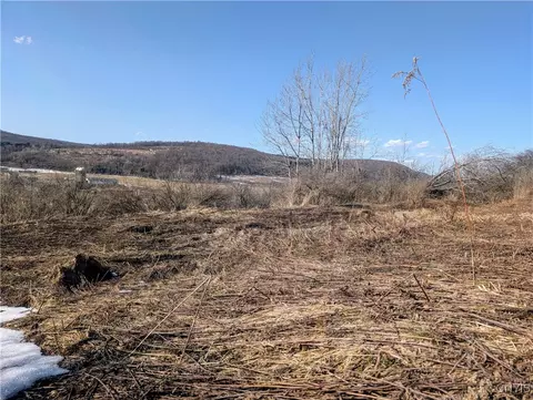 0 Oak Hill Rd, Pitcher, NY 13136 photo 5