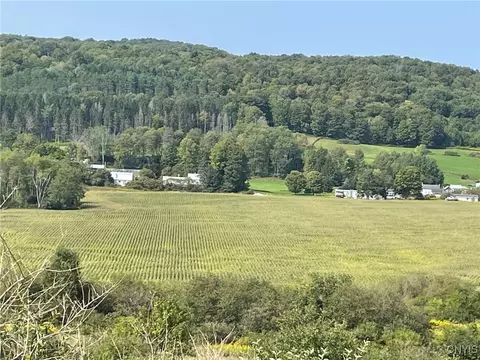 0 Oak Hill Rd, Pitcher, NY 13136 photo 14
