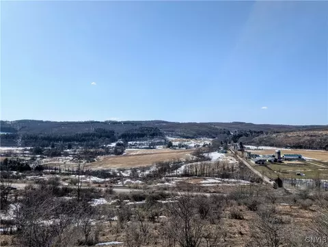 0 Oak Hill Rd, Pitcher, NY 13136 photo 4
