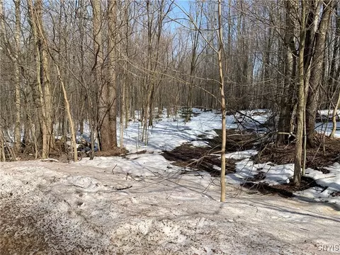lot2 Little Canada Rd, Hastings, NY 13036