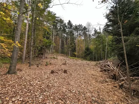 00 State Route 414, Hornby, NY 14830