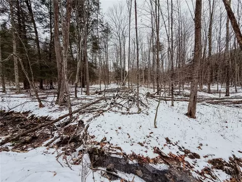 West Road, Corning, NY 14830 photo 31