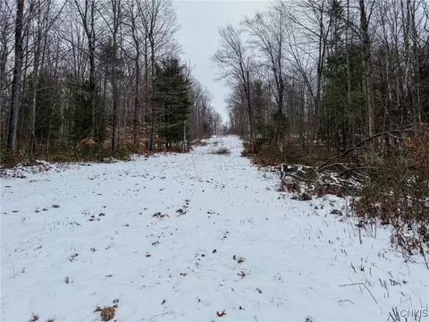 West Road, Corning, NY 14830 photo 10