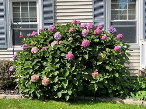 Other - 430 Sylvan St, Oneida, NY 13421 photo 11 of 25