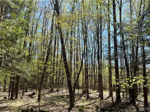 Cedar Street, Watson, NY 13367 photo 17