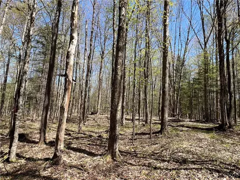Cedar Street, Watson, NY 13367 photo 8