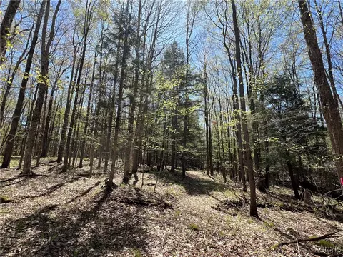 Cedar Street, Watson, NY 13367 photo 25