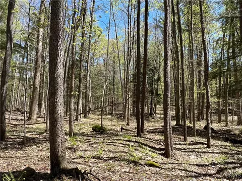 Cedar Street, Watson, NY 13367 photo 3