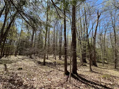 Cedar Street, Watson, NY 13367 photo 20