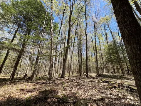 Cedar Street, Watson, NY 13367 photo 5