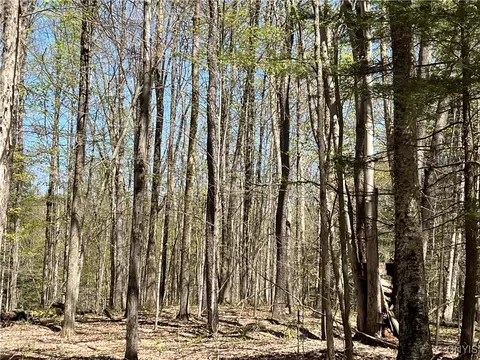 Cedar Street, Watson, NY 13367 photo 11