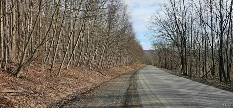Barden Hill Road, Richford, NY 13835