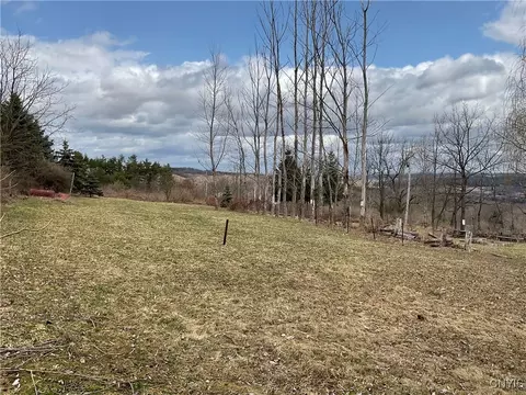 171 Harvey Hill Rd, Enfield, NY 14850 photo 2