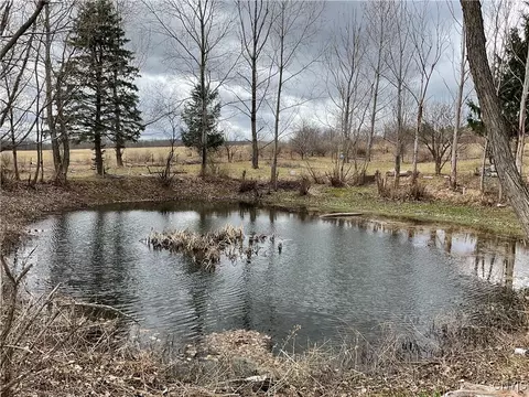171 Harvey Hill Rd, Enfield, NY 14850