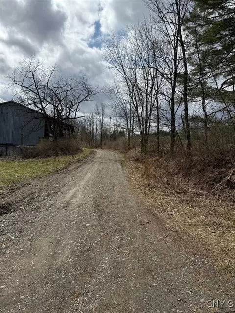 171 Harvey Hill Rd, Enfield, NY 14850 photo 17
