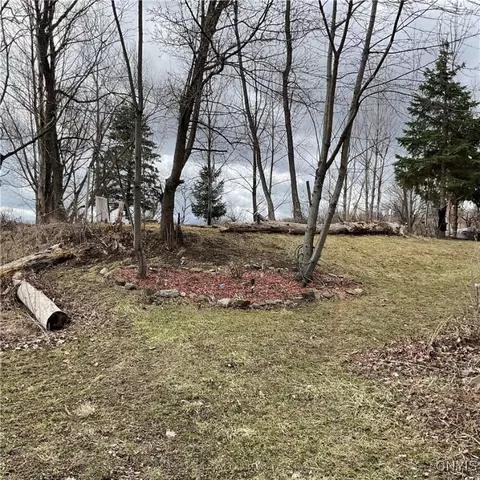 171 Harvey Hill Rd, Enfield, NY 14850 photo 11
