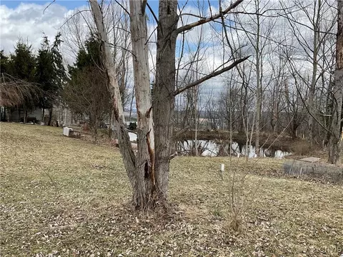171 Harvey Hill Rd, Enfield, NY 14850 photo 7