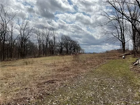 171 Harvey Hill Rd, Enfield, NY 14850 photo 5
