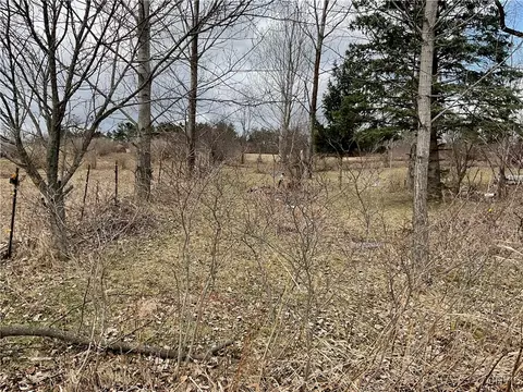 171 Harvey Hill Rd, Enfield, NY 14850 photo 8
