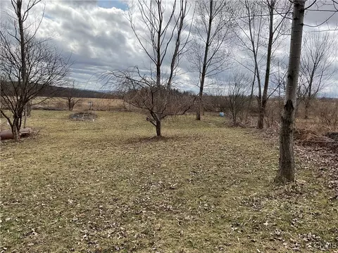 171 Harvey Hill Rd, Enfield, NY 14850 photo 6