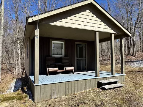 13477 Power Line Dr, Diana, NY 13648