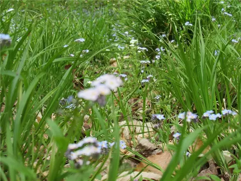 142 Joy Tract Rd, Webb, NY 13420 photo 7