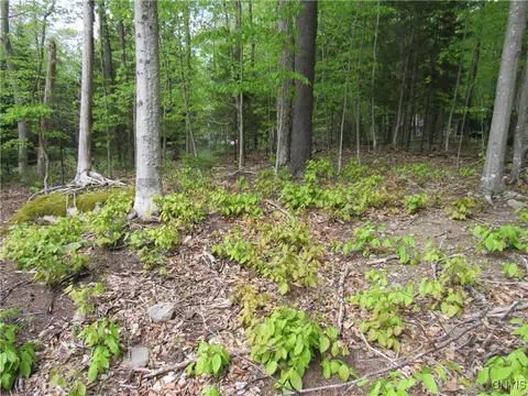 142 Joy Tract Rd, Webb, NY 13420 photo 14