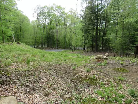 142 Joy Tract Rd, Webb, NY 13420