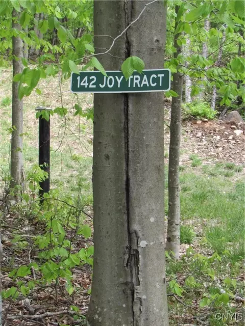 142 Joy Tract Rd, Webb, NY 13420 photo 2