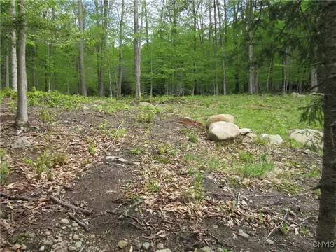 142 Joy Tract Rd, Webb, NY 13420 photo 8