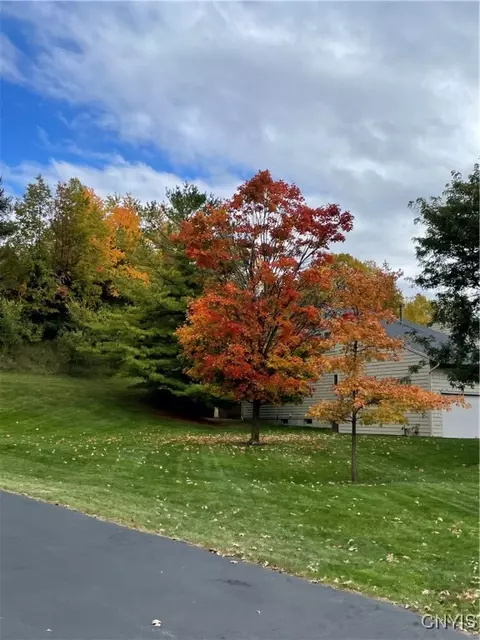 6208 The Hamlet, Jamesville, NY 13078 photo 11