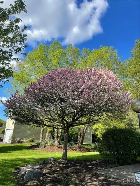 6208 The Hamlet, Jamesville, NY 13078 photo 13