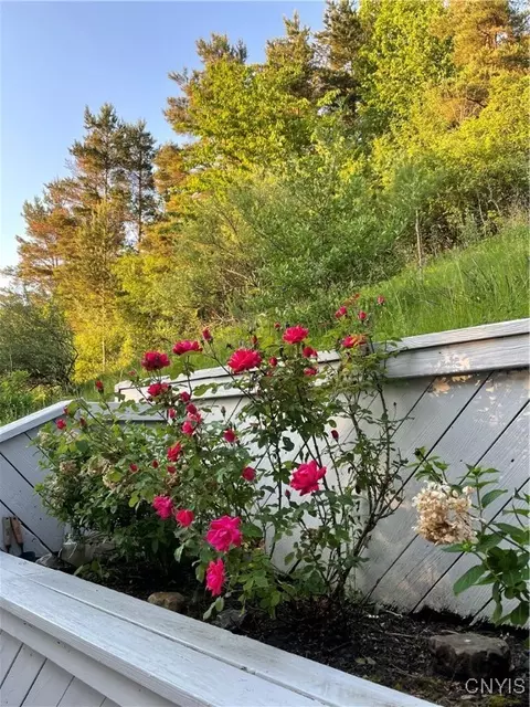 6208 The Hamlet, Jamesville, NY 13078 photo 45