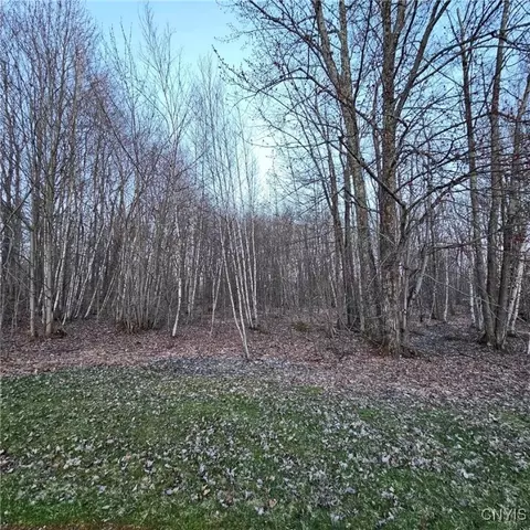 Adrian Circle, Constantia, NY 13044 photo 5